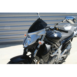 Compatible Avec/remplacement Pour 650 GLADIUS-09/15